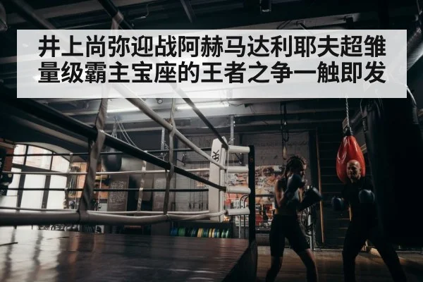 boxer training